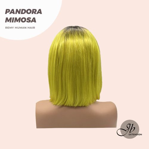 Pandoramimosa2